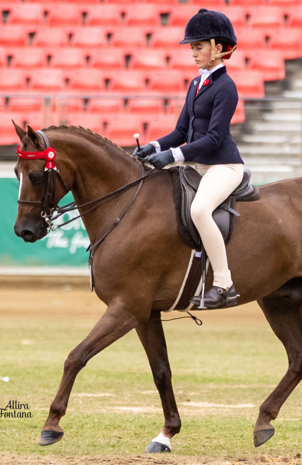 BARE Equestrain Youth Competition Wear Tights