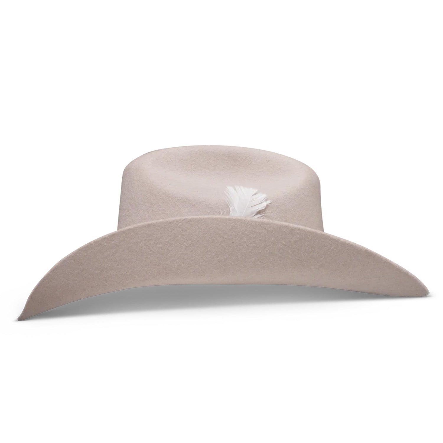 Charlie 1 Horse X Lainey Wilson Saddle Up Silverbelly