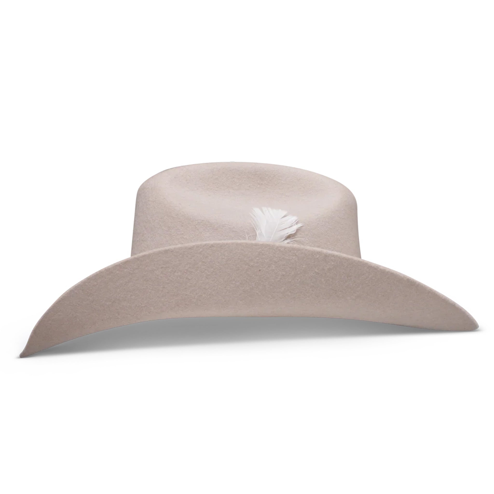 Charlie 1 Horse X Lainey Wilson Saddle Up Silverbelly