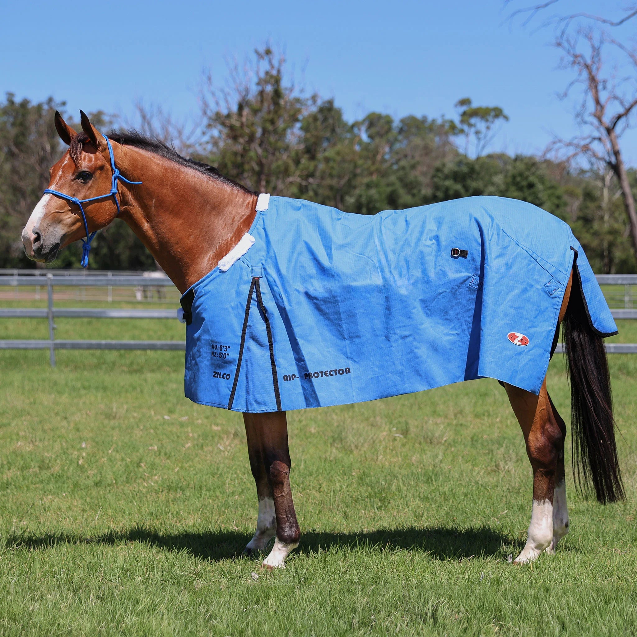 Rip Protector Rug