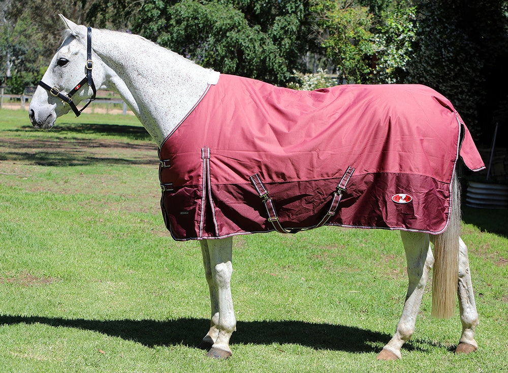 Zilco Explorer 200 Rug