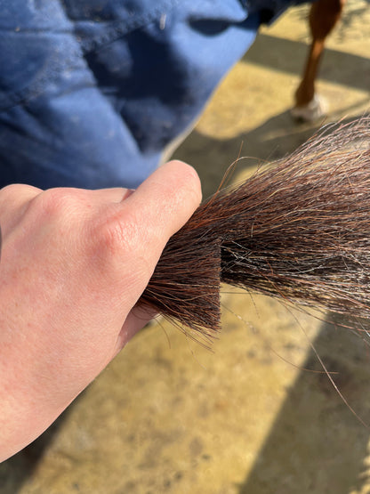 Hairy Pony Horse Tail Trimming Scissors