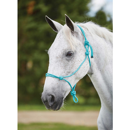 Roma Nylon Rope Headcollar Halter