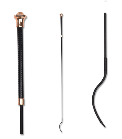 Waldhausen Whip Dressage Noblesse