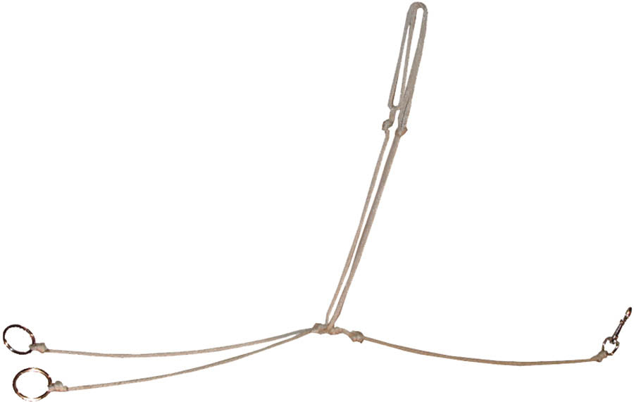 Ezy Ride String Martingale