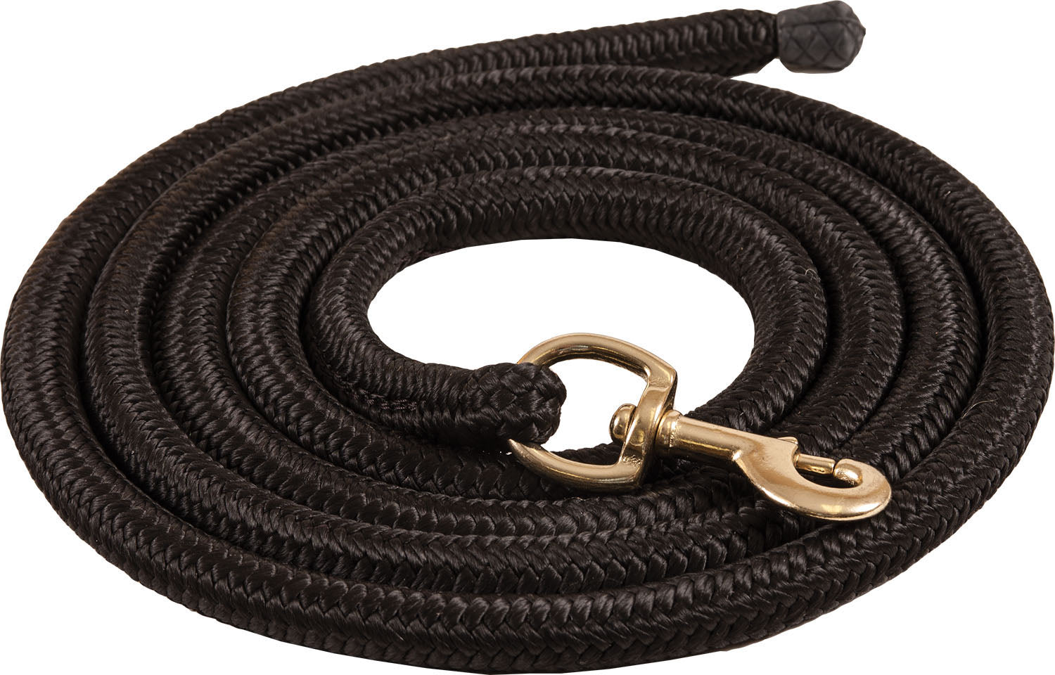 Ezy Ride Bungee Lead Black
