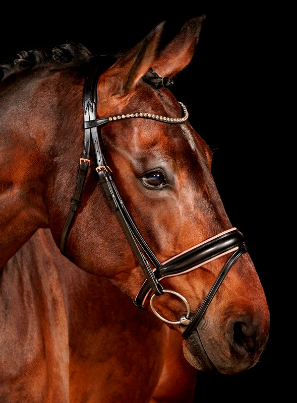 Waldhausen Bridle XLine