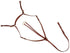 Oregon Stockman&