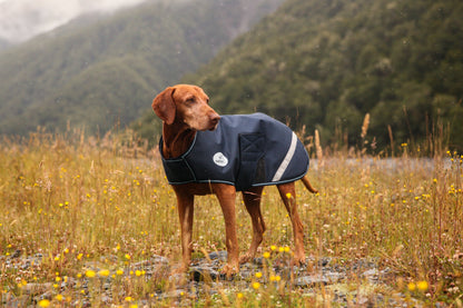 NZ Tack Buddy Dog Coat Navy
