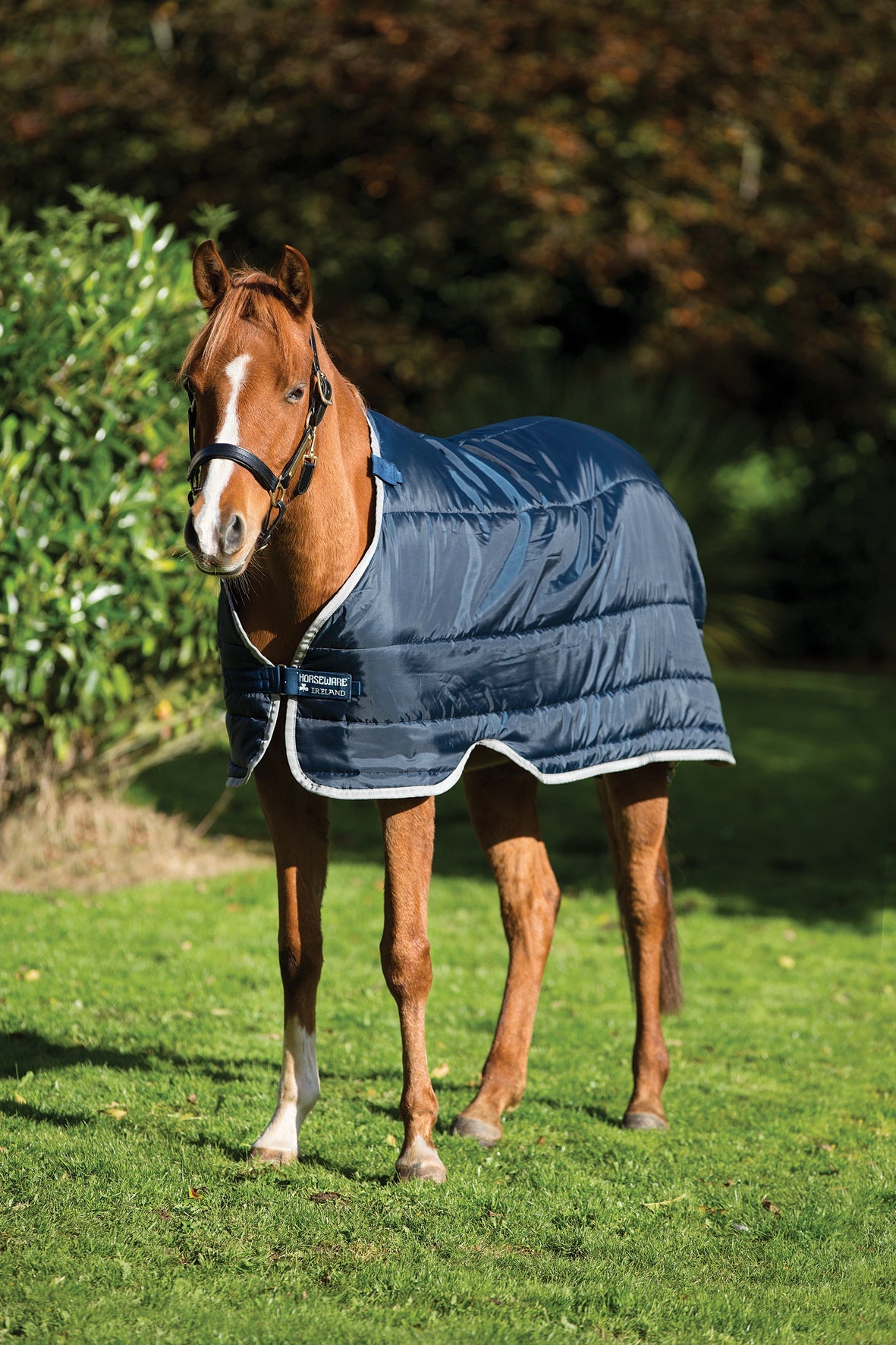 Horseware Pony Liner
