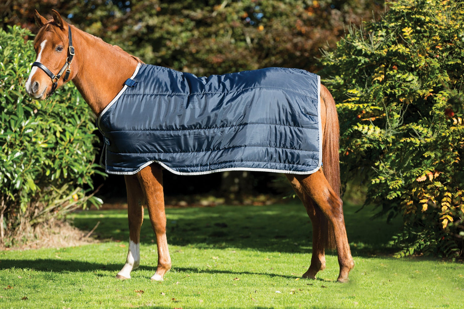 Horseware Pony Liner