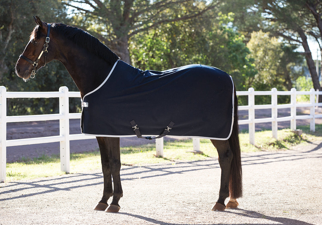 Amigo Jersey Cooler Rug