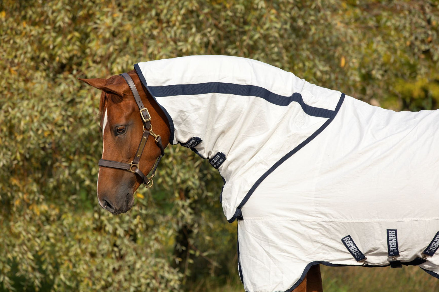 Rambo Natura Summer Sheet Detach-A-Neck