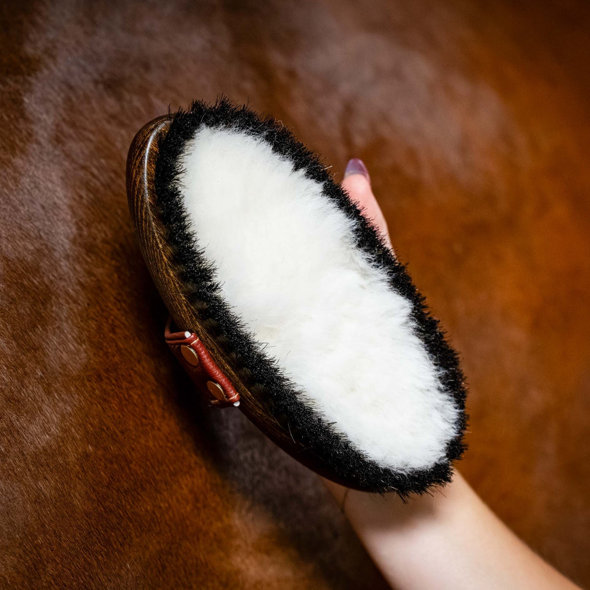 Hairy Pony Wool Brush