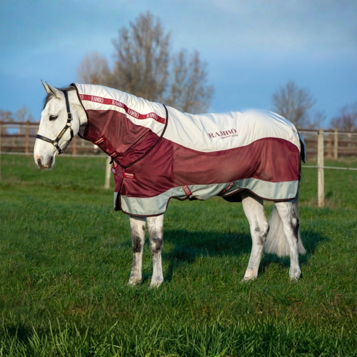 Rambo Summer Series Disc Front Detach-A-Neck