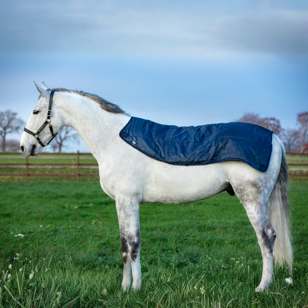 Rambo Summer Series Disc Front Detach-A-Neck