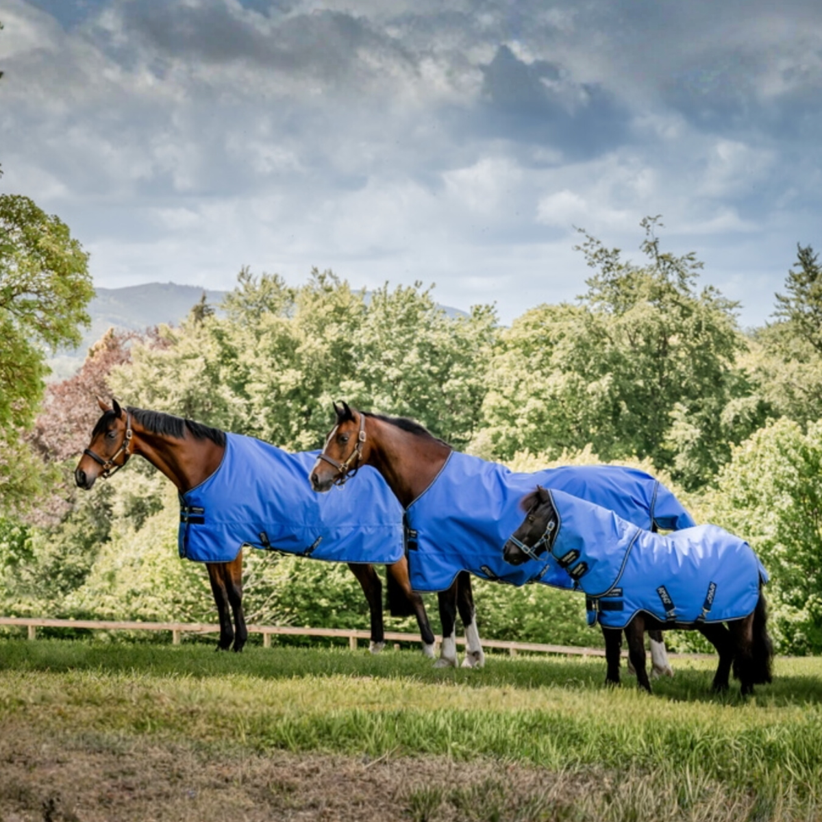 Amigo Hero Ripstop Turnout Lite