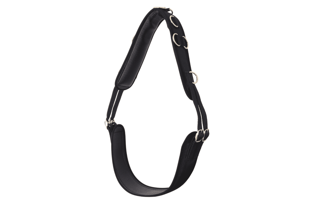 Blue Tag Lunge Roller Anti Gall