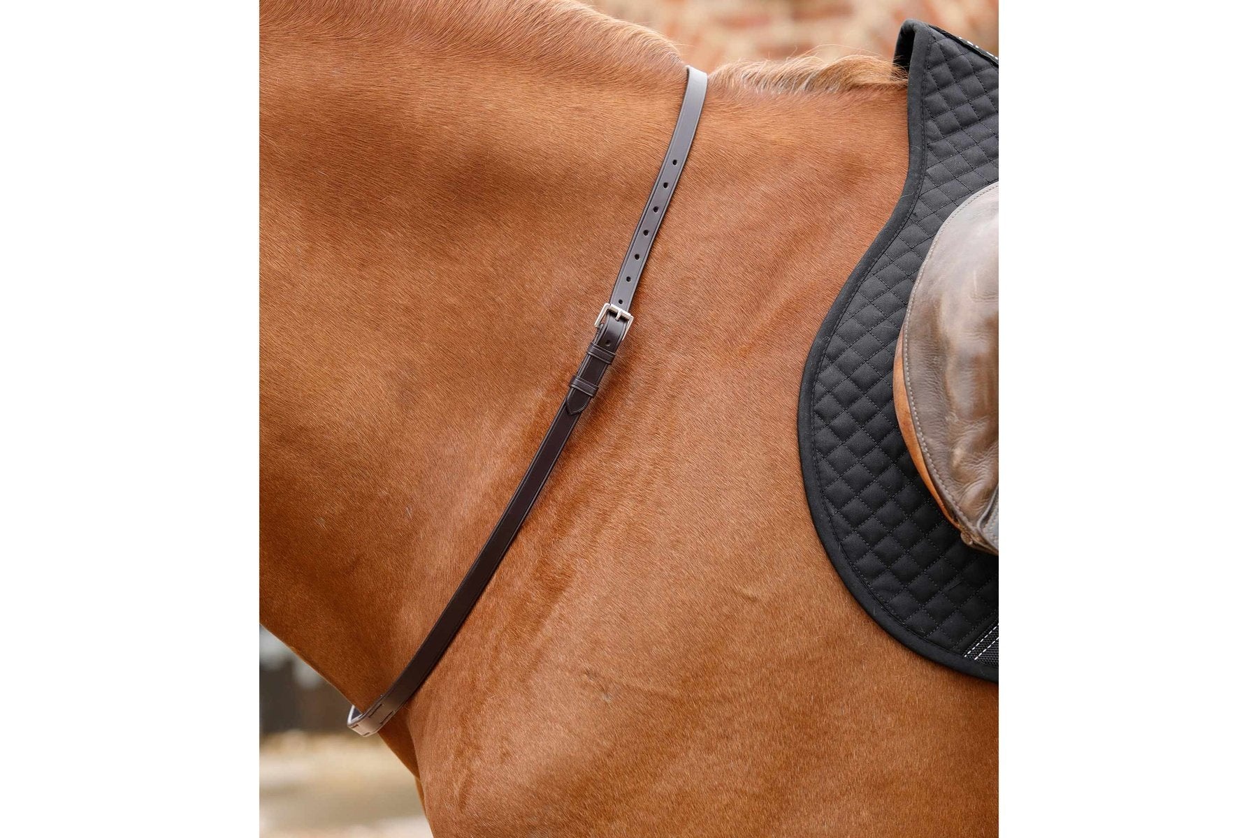 Premier Equine Altino Horse Neck Strap