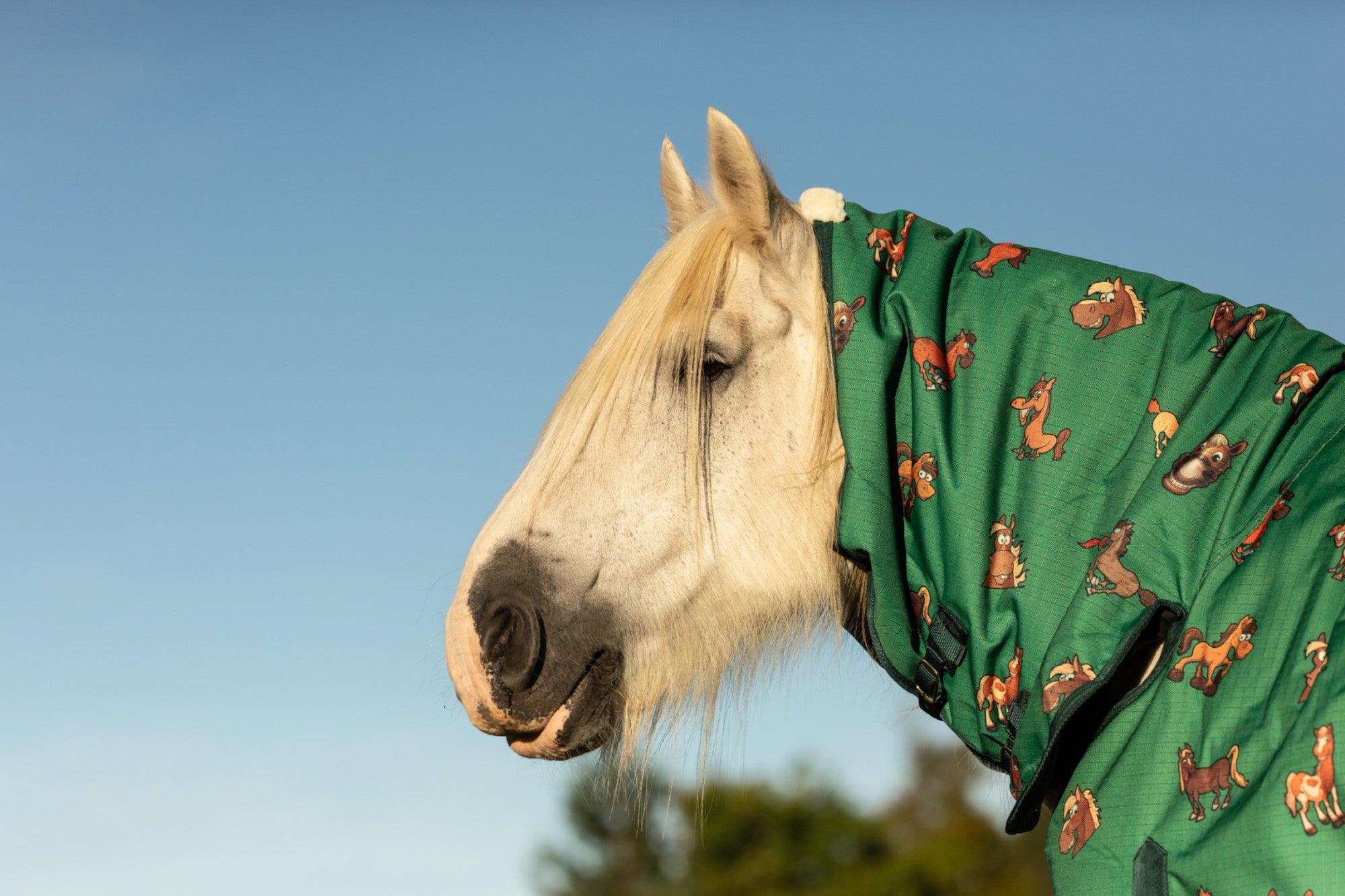 Horse cover sizing chart. Choose the right horse rug size and weight