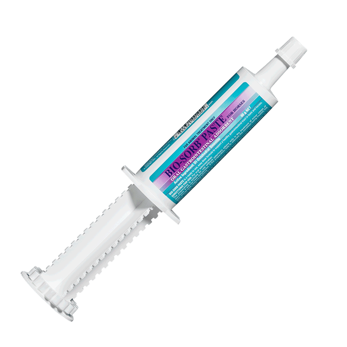 IAH Bio-Sorb Paste 60g syringe