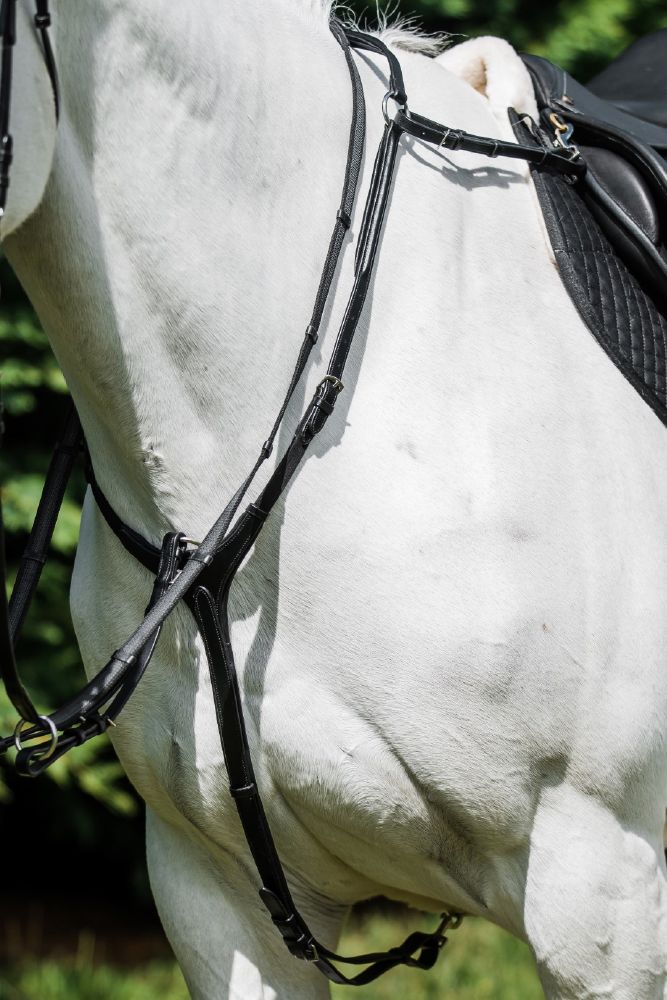 Platinum Martingale Breastplate