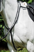 Platinum Martingale Breastplate