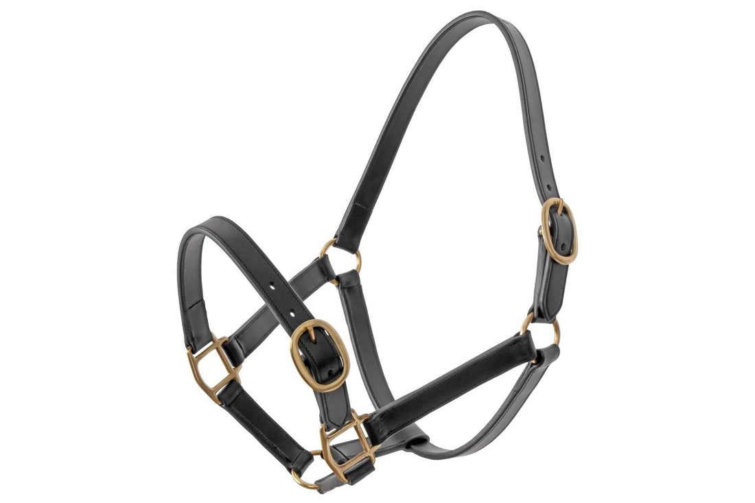 Platinum Leather Halter