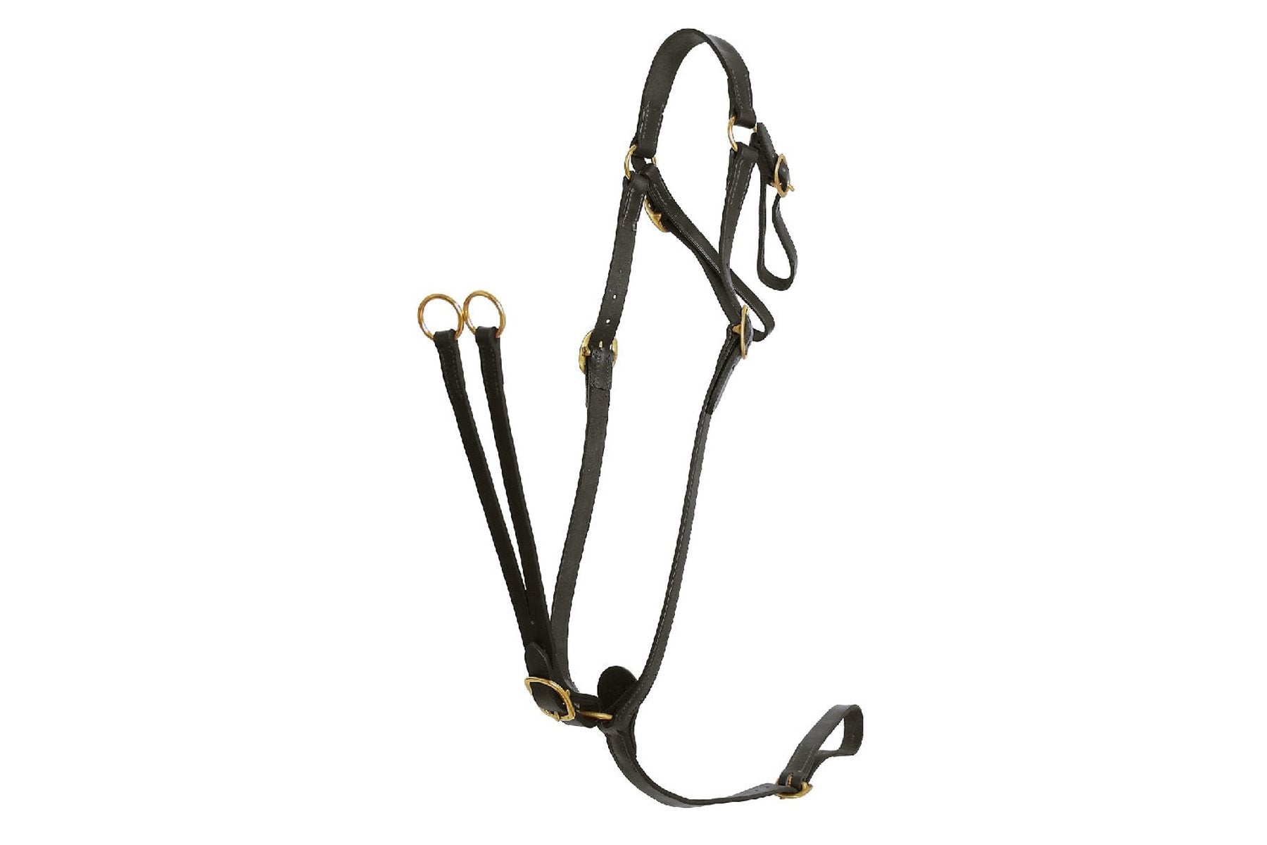 Flair Martingale Breastplate