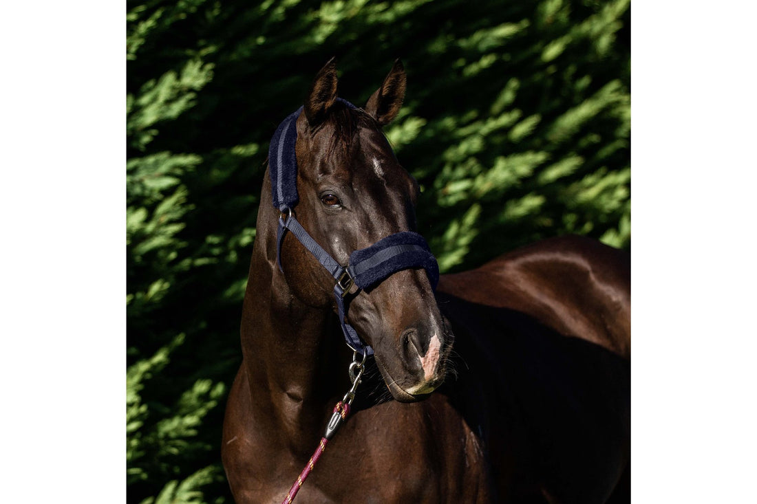 Flair Plush Fleece Lined Halter