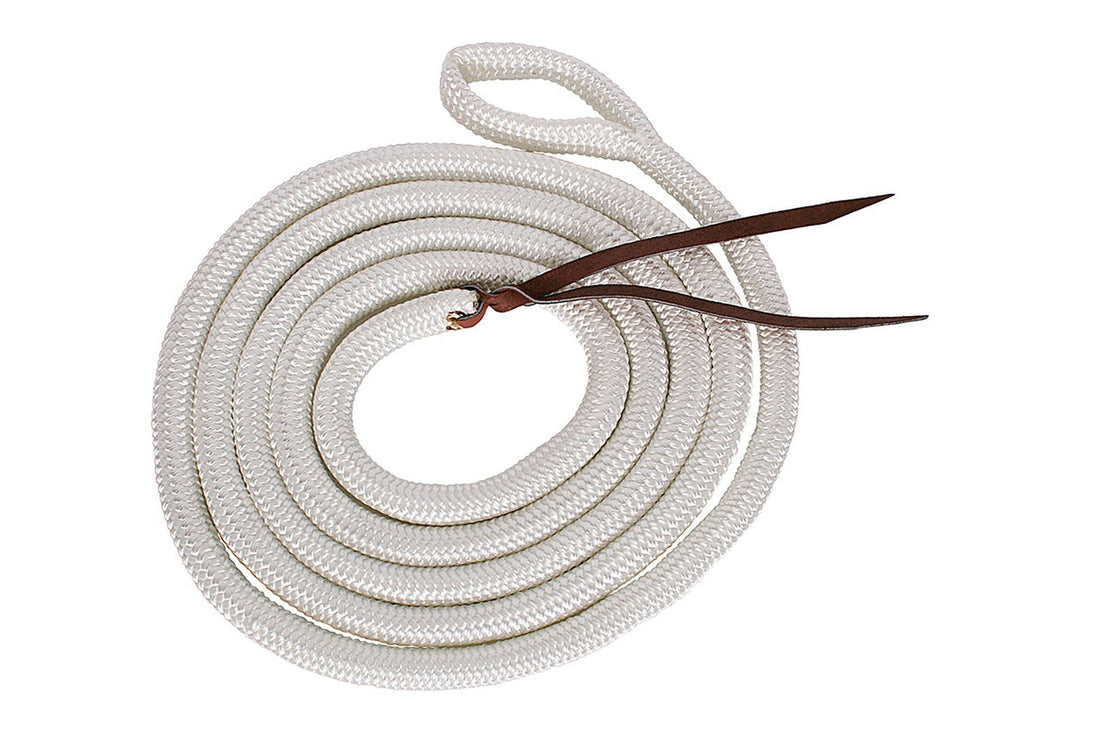 Blue Tag Horsemanship Training Lead