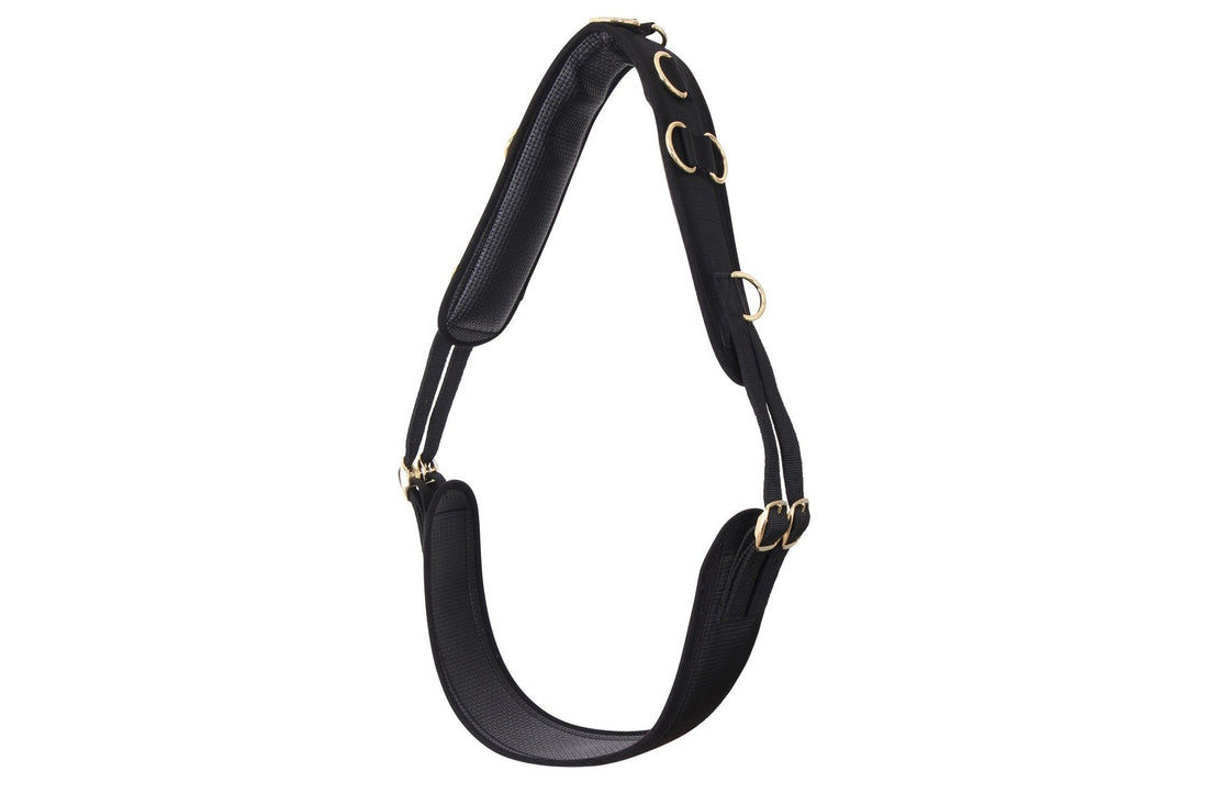 Blue Tag Lunge Roller Anti Gall