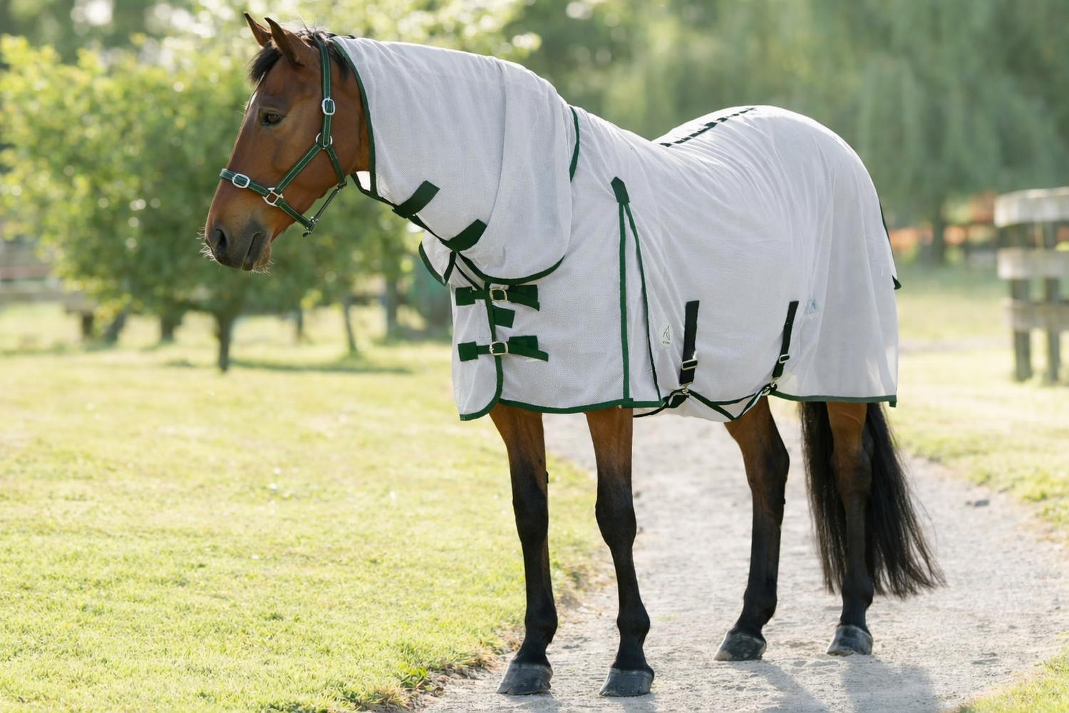 NZ Tack Supa-Tuff Mesh Fly Combo