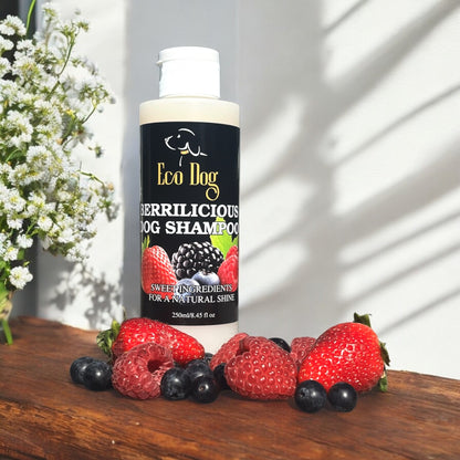 Eco Dog Berrilicious Dog Shampoo