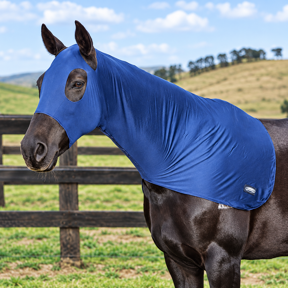 Weatherbeeta Stretch Hood