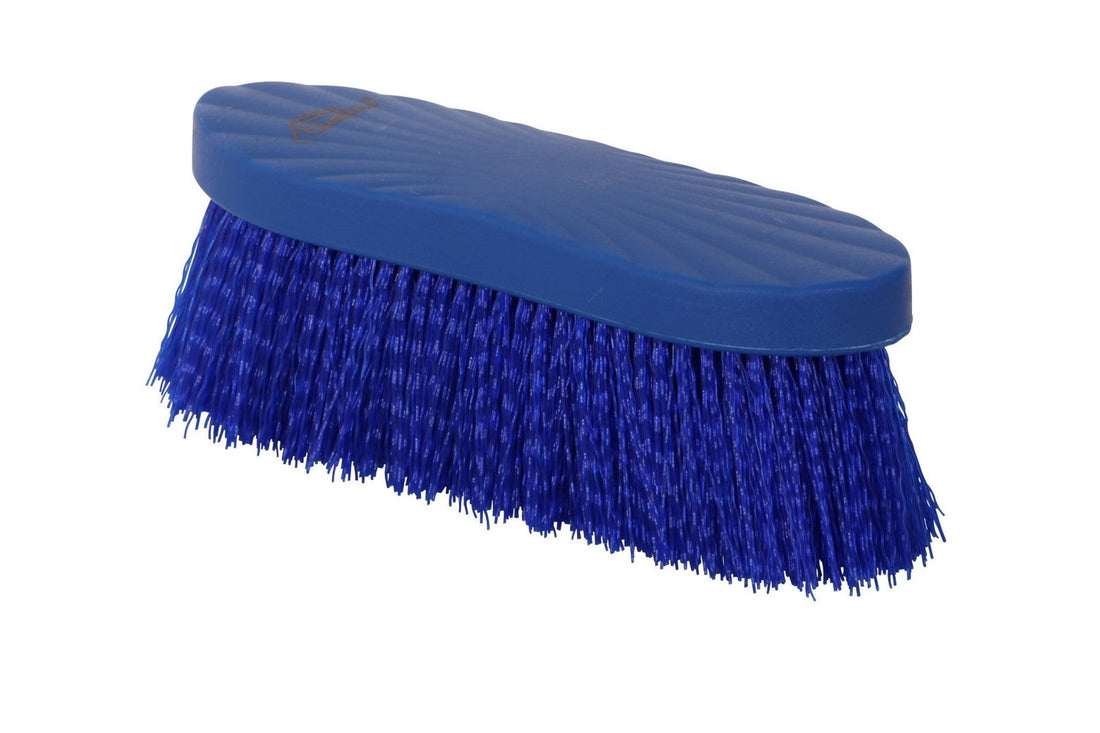 Blue Tag Soft Bristle Dandy Brush Small