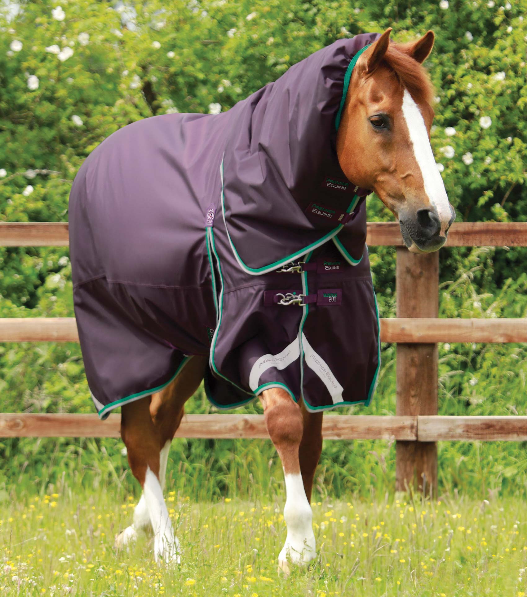 Description:Buster 200g Turnout Rug with Snug-Fit Neck Cover_Colour:Purple_Position:1