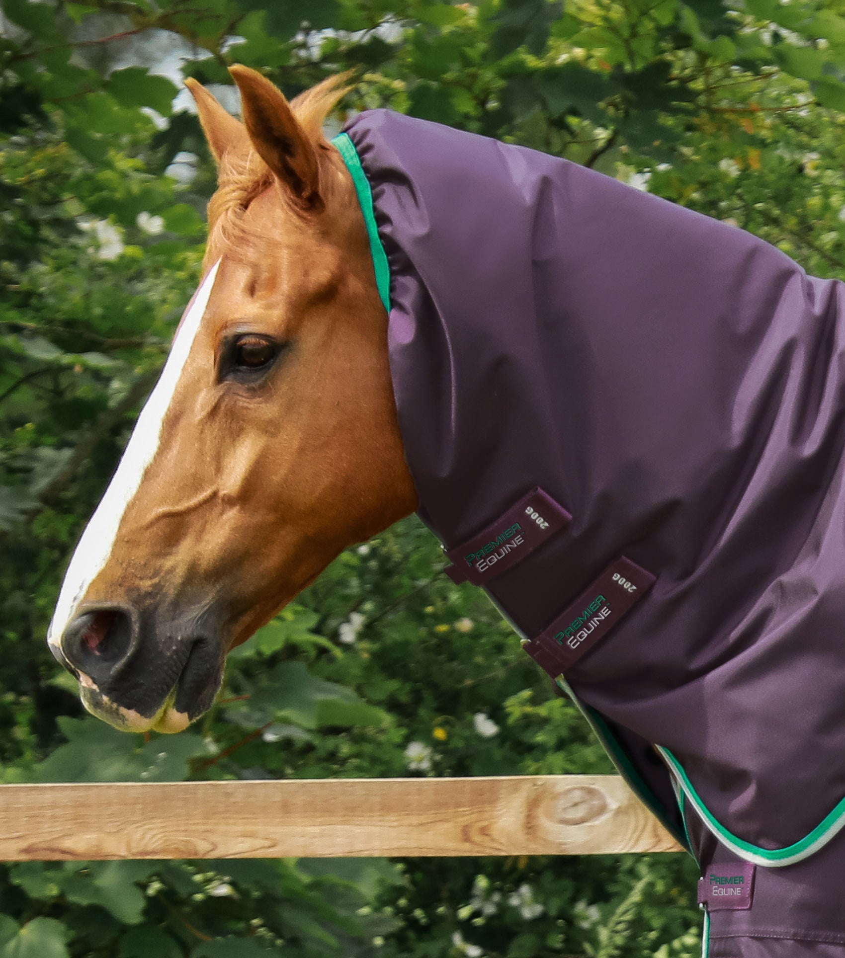 Premier Equine Buster Turnout Detacha-Neck with Snug-Fit Neck Cover