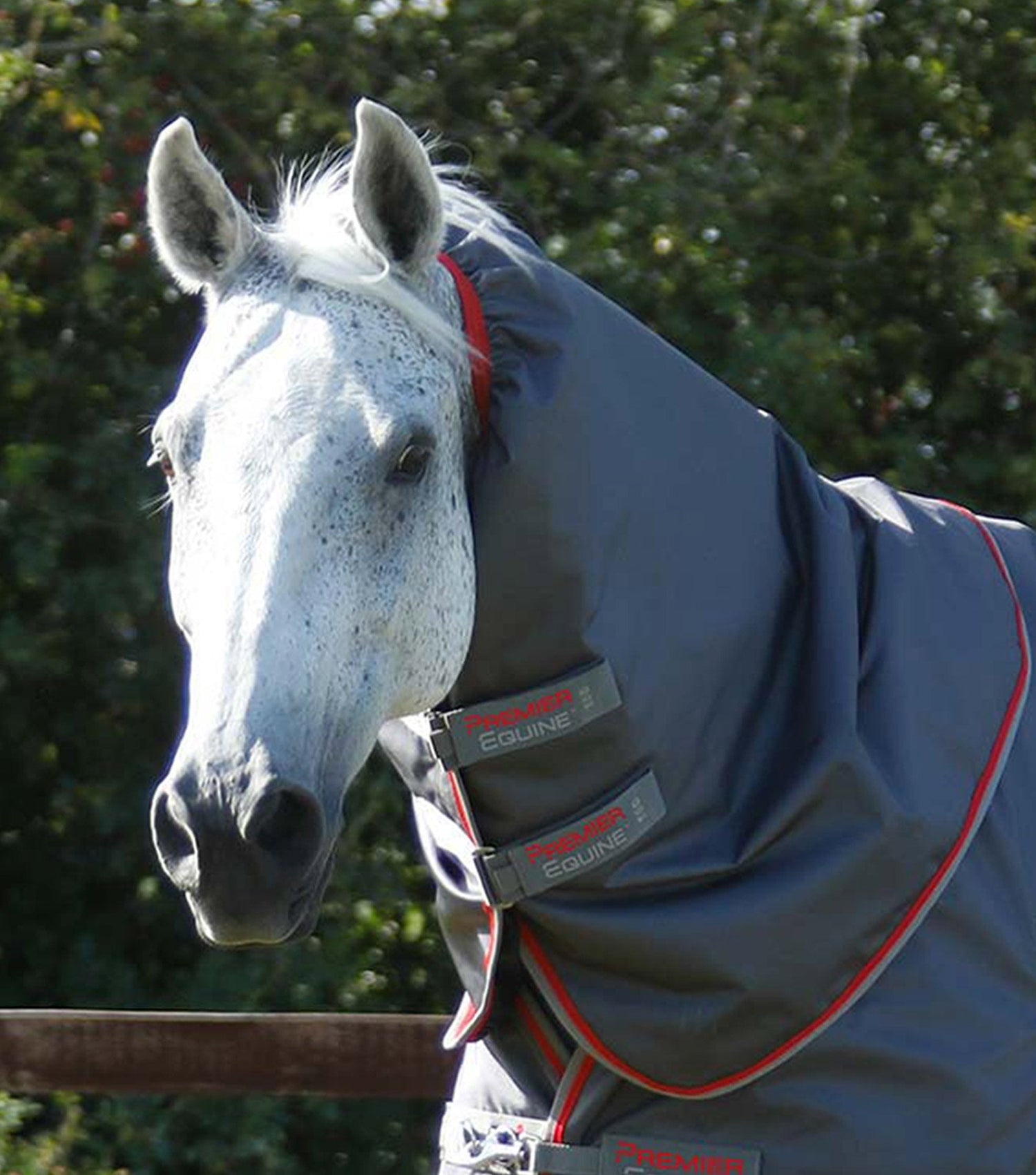 Premier Equine Buster Turnout Detacha-Neck with Snug-Fit Neck Cover