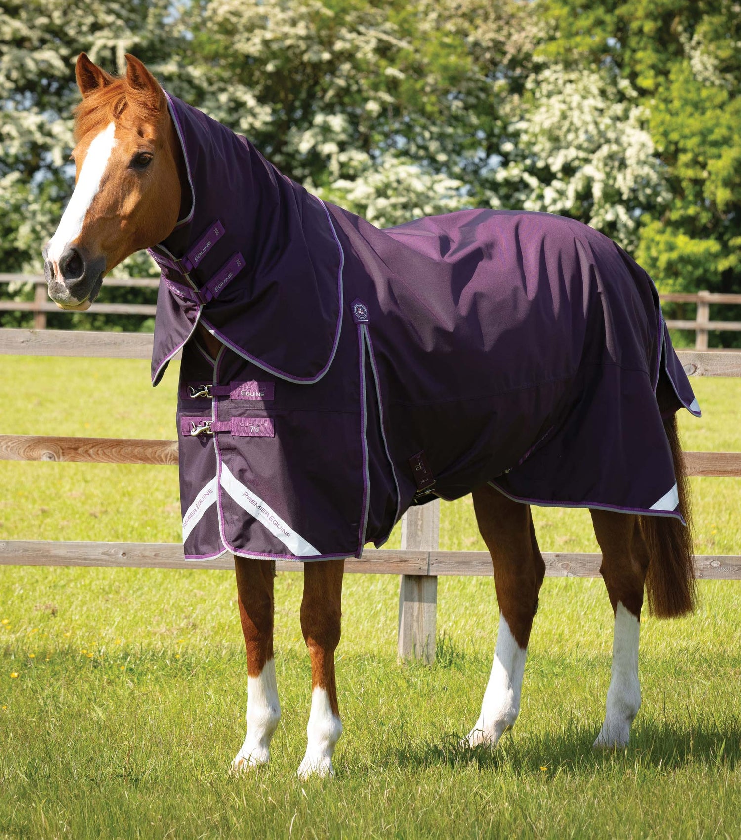 Description:Buster 70g Turnout Rug with Classic Neck Cover_Colour:Purple_Position:1