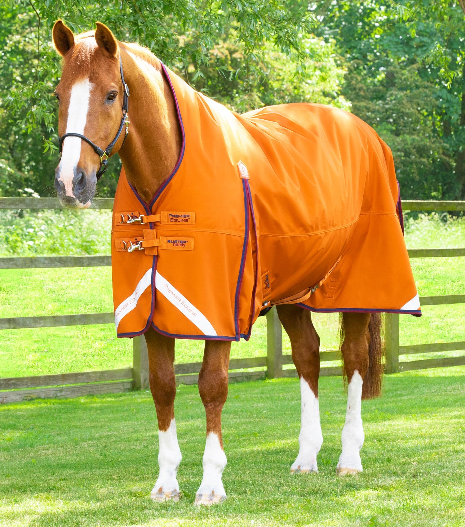 Description:Buster Hardy 200g Half Neck Turnout Rug_Colour:Burnt Orange_Position:1