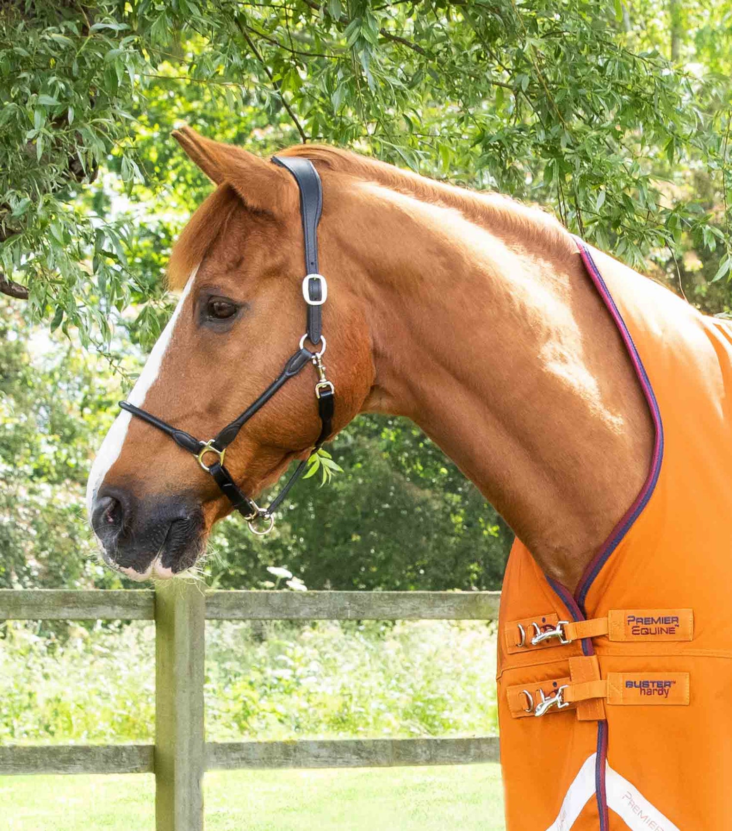 Premier Equine Buster Hardy Half Neck Turnout Rug