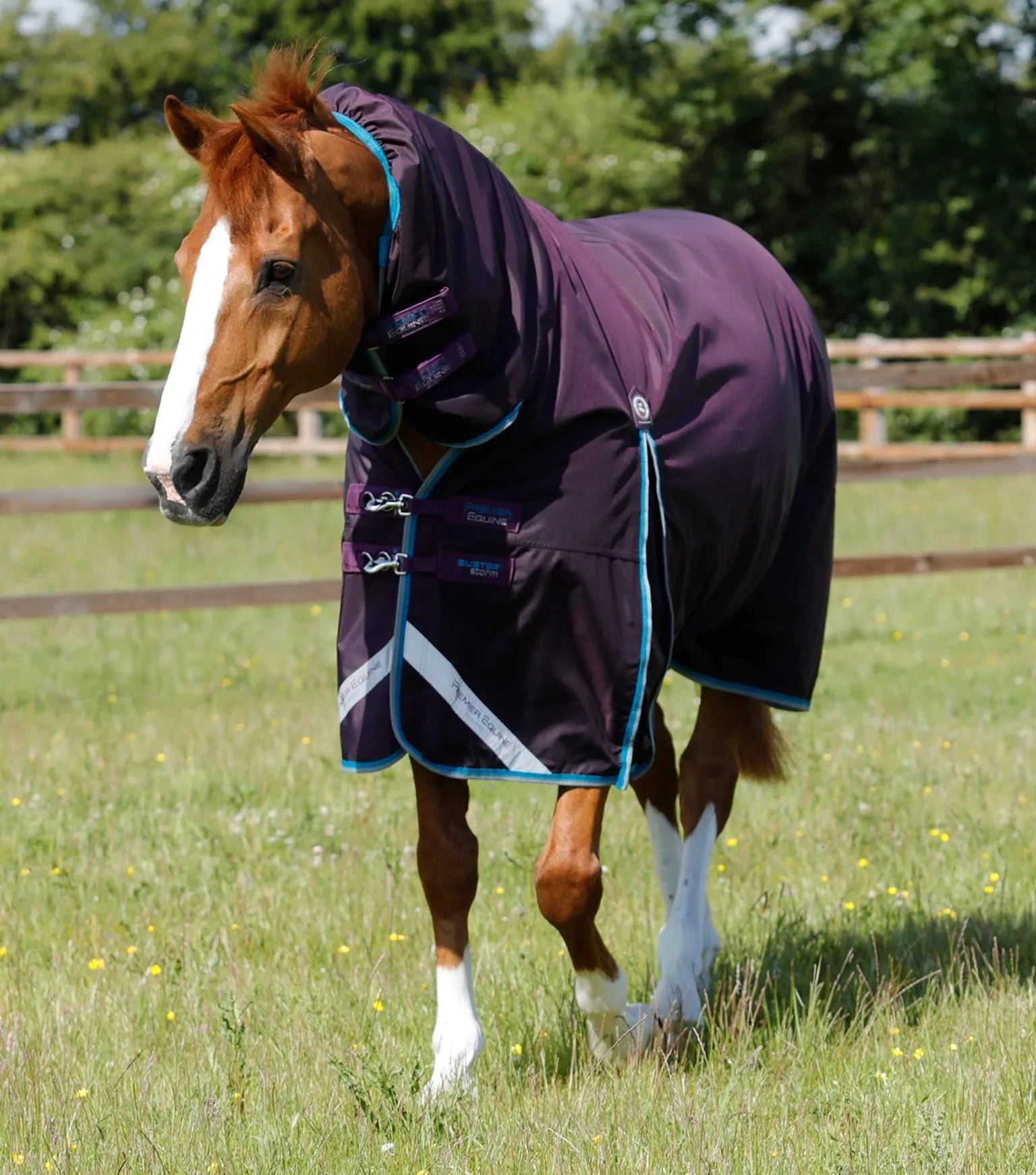 Premier Equine Buster Storm Combo Turnout Rug with Snug-Fit Neck