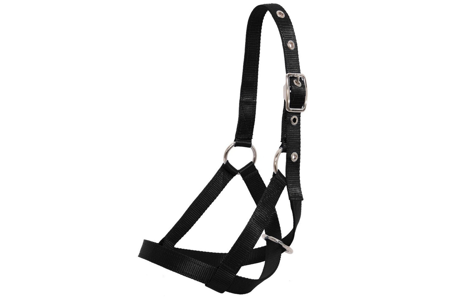 Flair Tethering Calf Halter