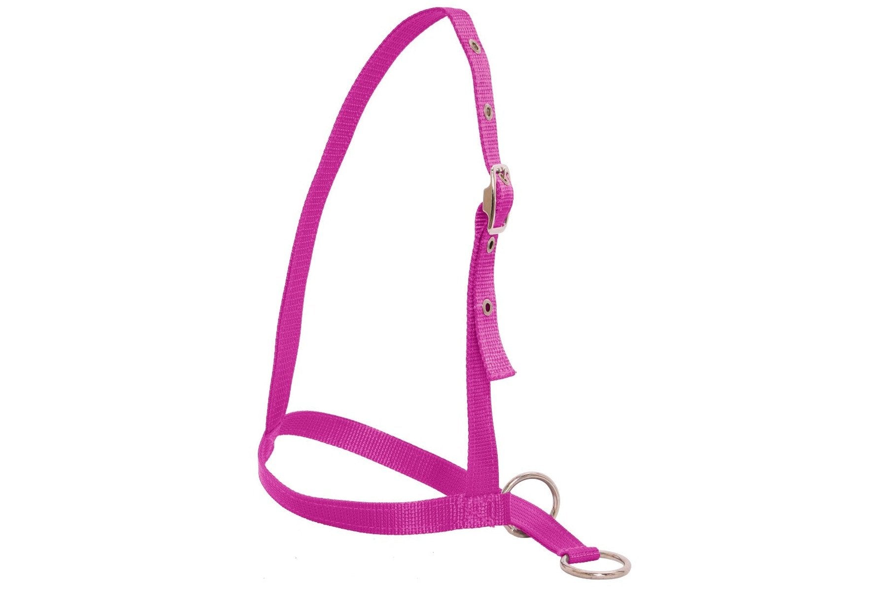 Flair Leading Calf Halter