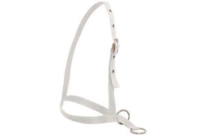 Flair Leading Calf Halter