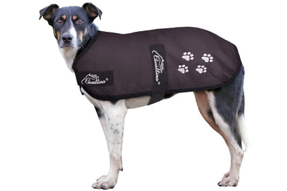 Cavallino Paw Print Dog Coat