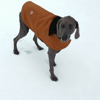 Carhartt Chore Dog Coat in Black