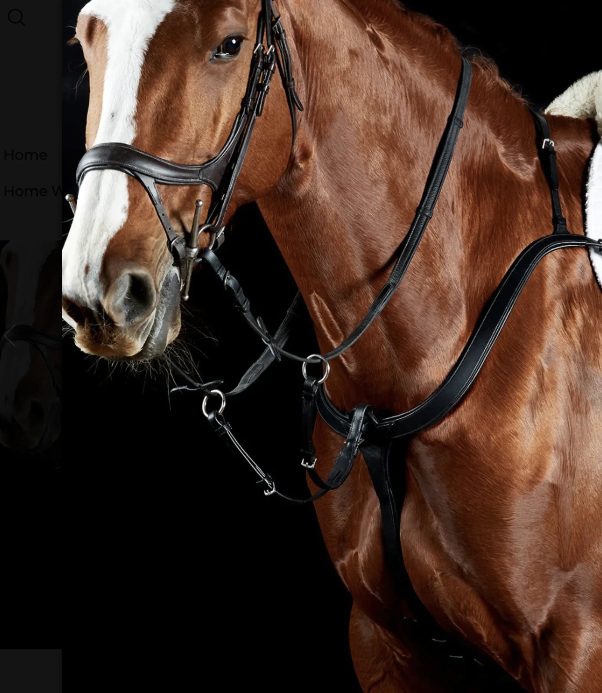 Collegiate Comfitec 3 Point Breastplate