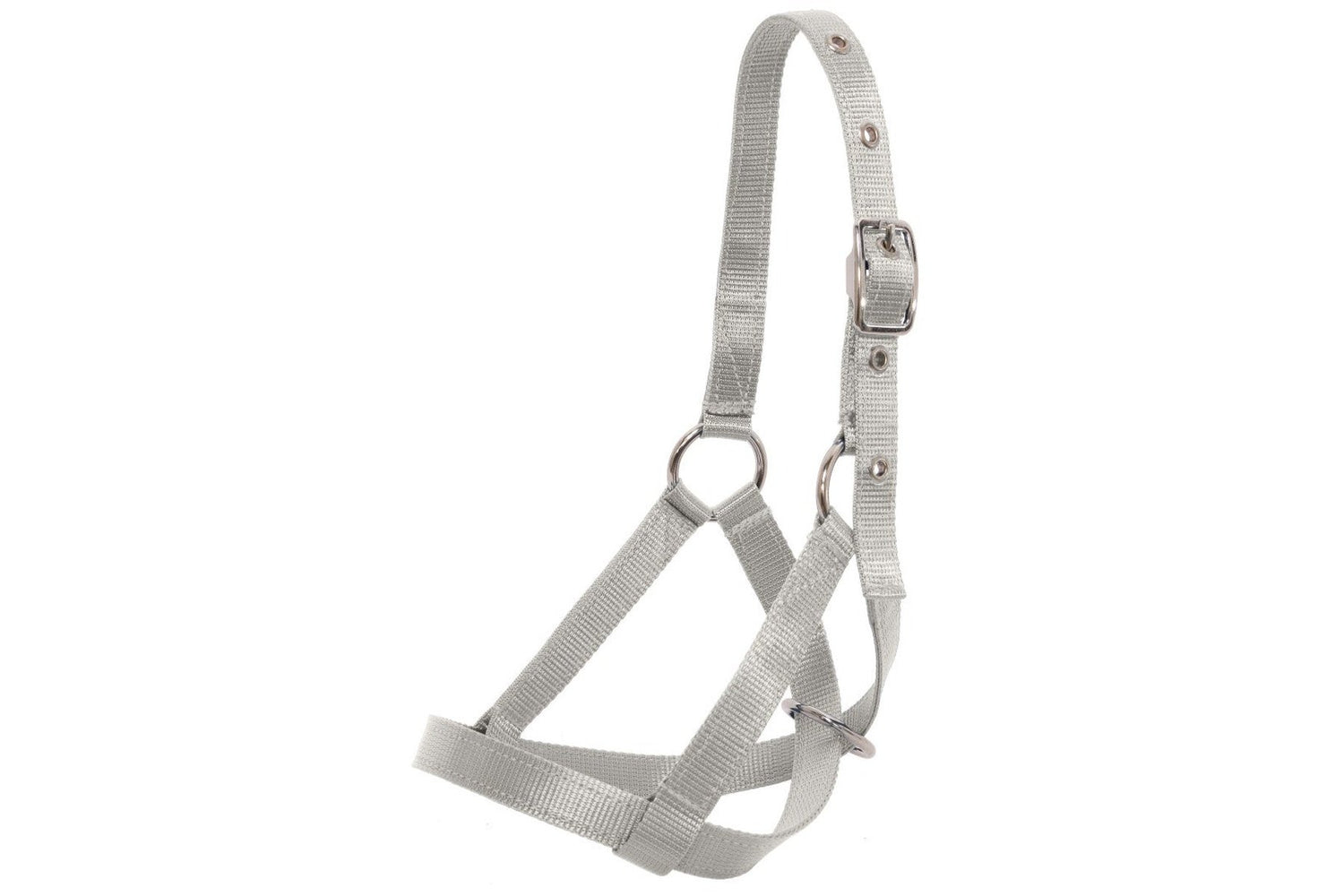 Flair Tethering Calf Halter